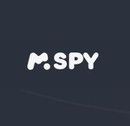 MSPY Discount Codes